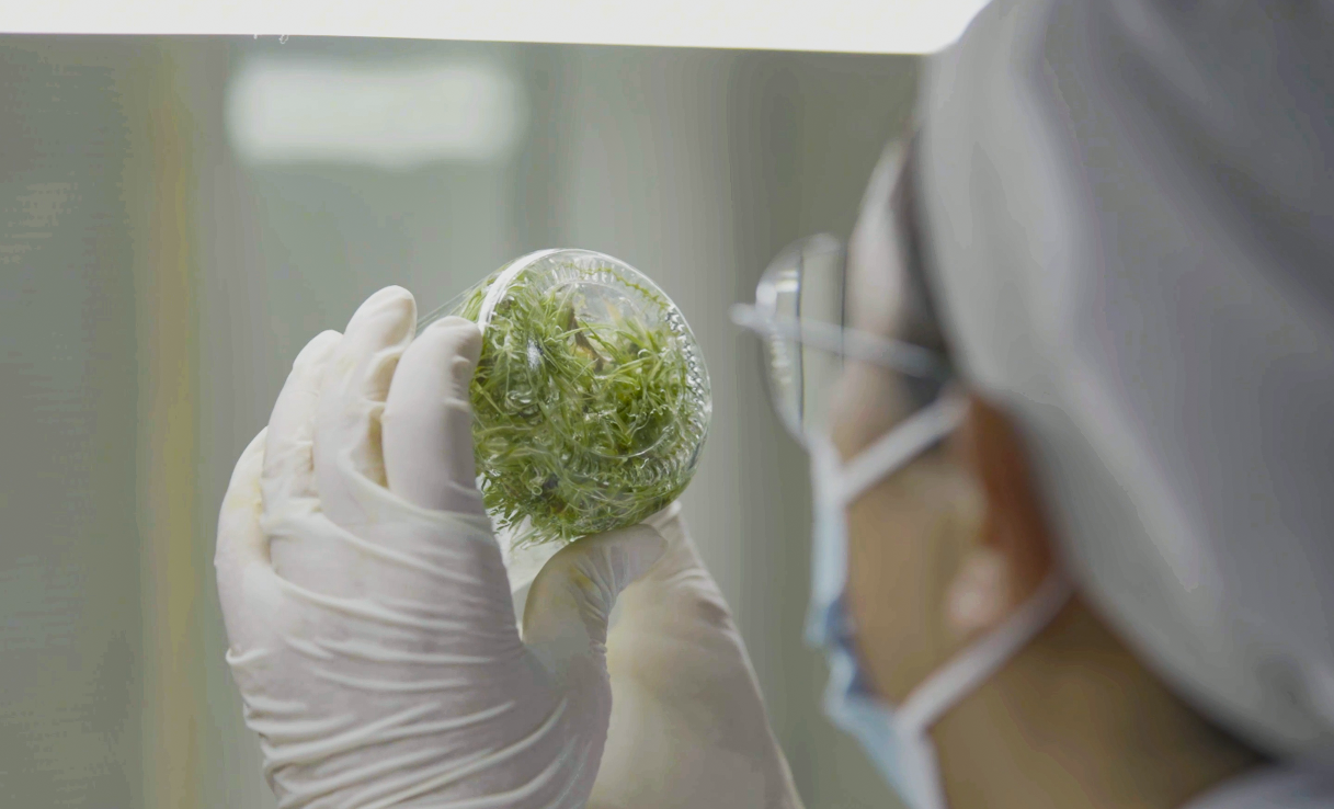 1770181142729121.png 产品图片1.png