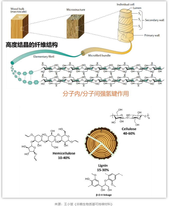 1775204232546498.png image.png