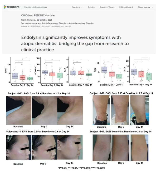 1775541736527167.png image.png