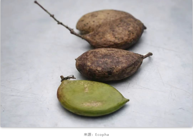 1776318507822039.png image.png